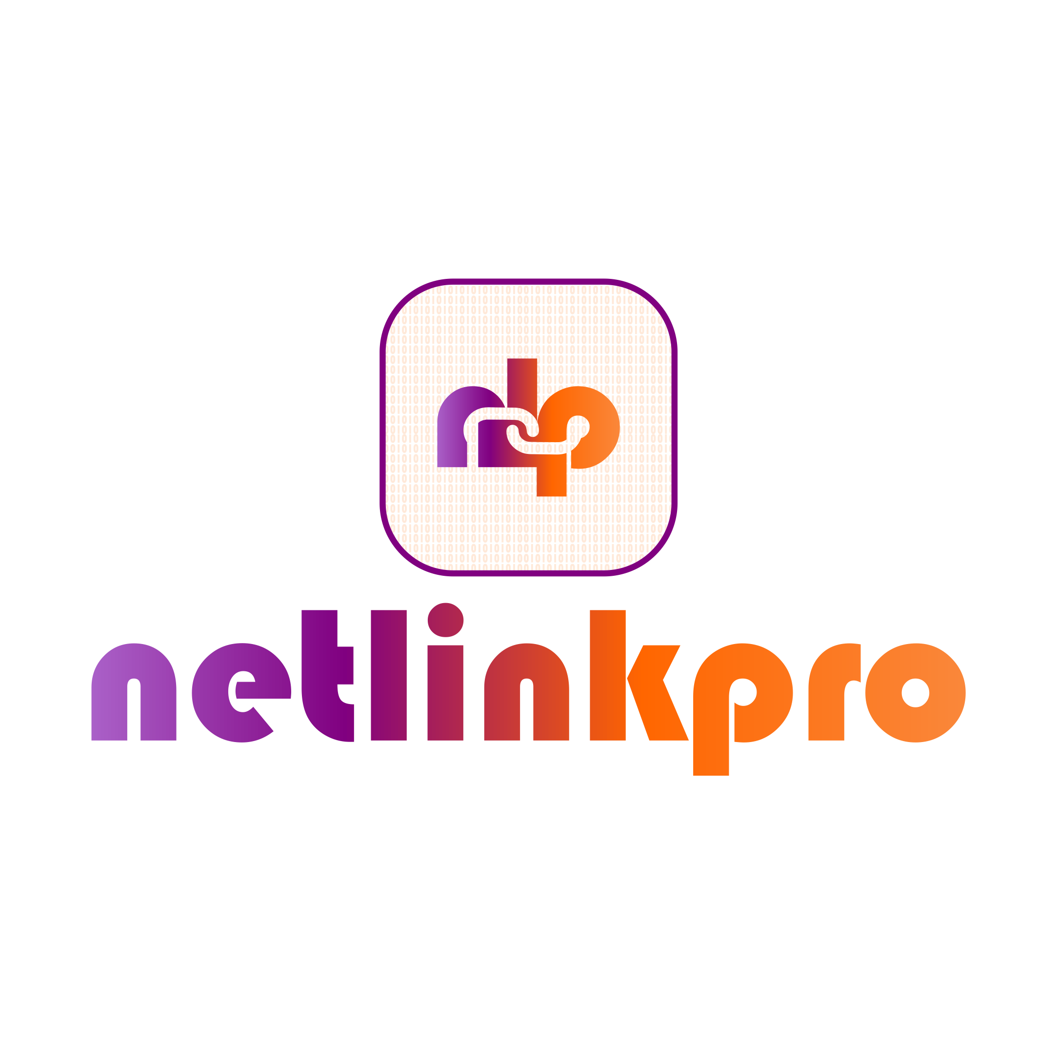 NetlinkPro Services